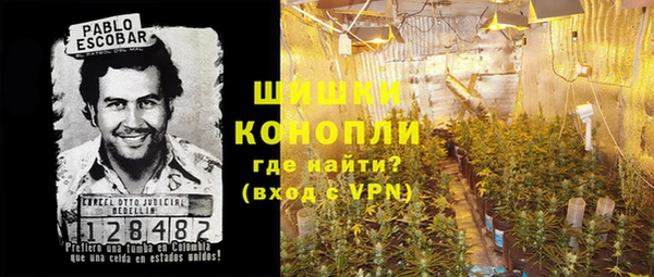 ГАЛЛЮЦИНОГЕННЫЕ ГРИБЫ Арсеньев