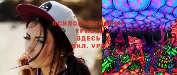 ALPHA PVP Аркадак
