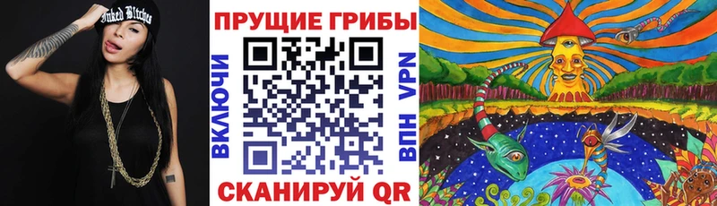 Галлюциногенные грибы Cubensis  купить закладку  mega как войти  Хилок 